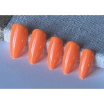 Couleurs Essentielle 