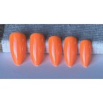 Couleurs Essentielle 